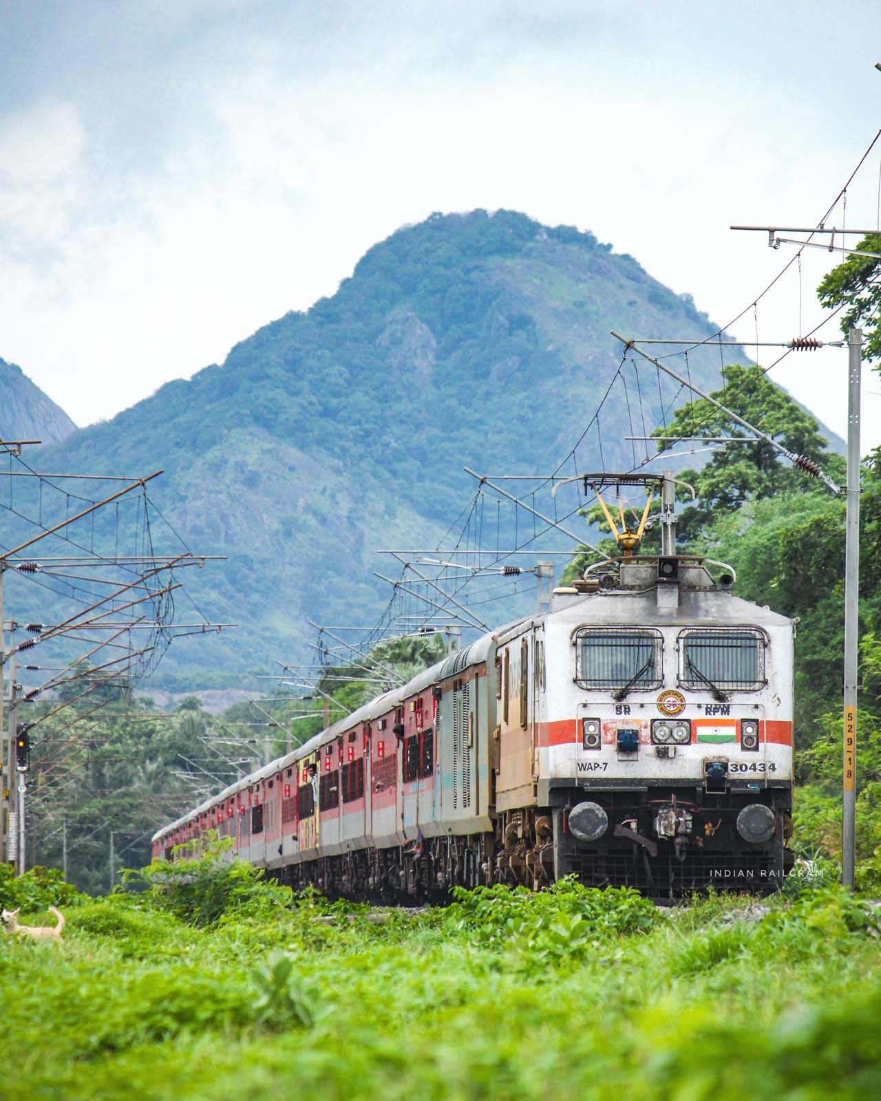 Train Photo 5