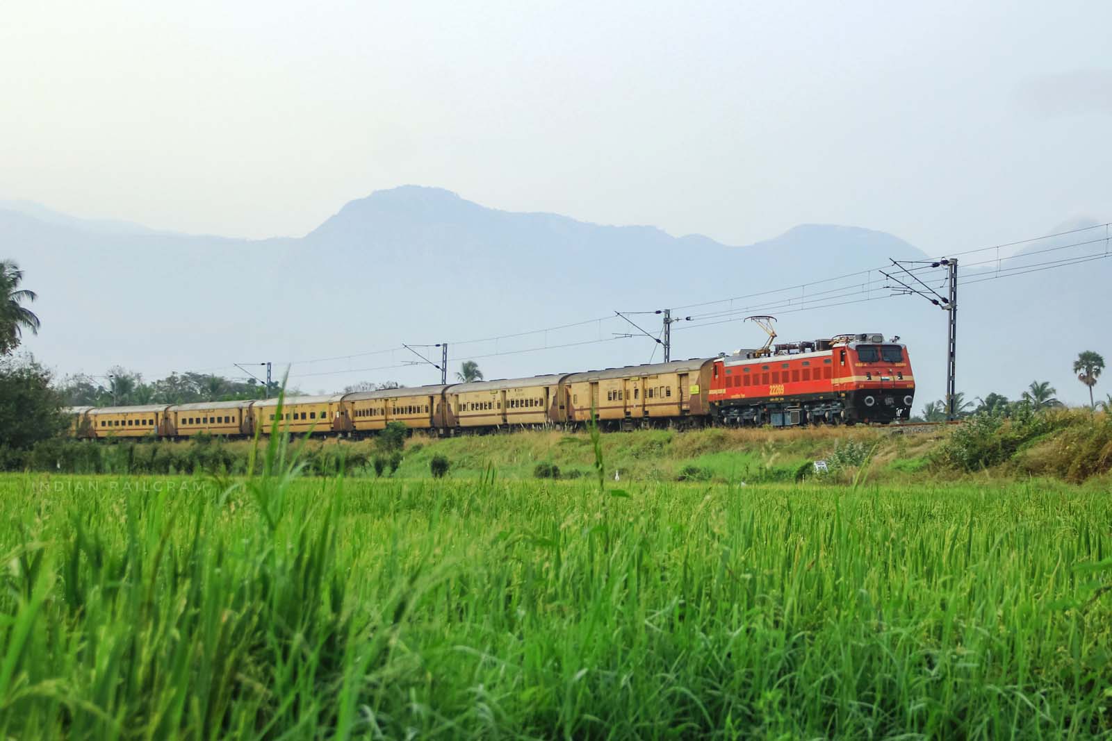 Train Photo 22